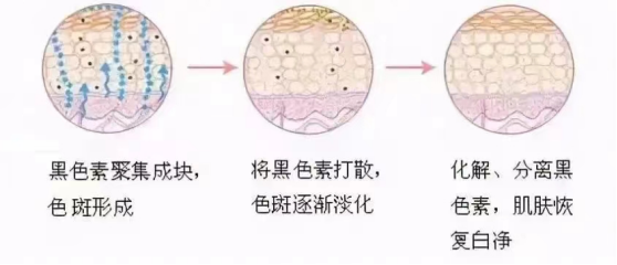 1721627651107504.png 微信圖片_20240716110911.png